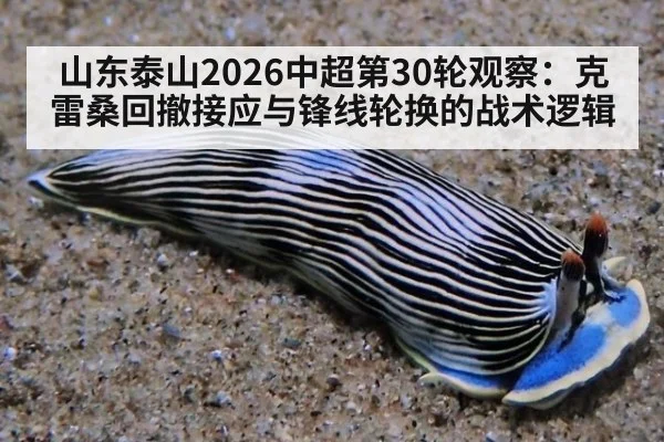 山东泰山2026中超第30轮观察：克雷桑回撤接应与锋线轮换的战术逻辑